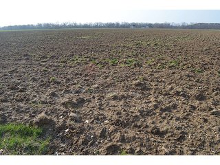 Property photo 42 - 77 +/- Acres Offered in 6 Tracts - Premier Estate Auction